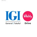 IGI Vitality Drive icon