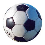 ZiBet Pro icon