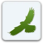 SmartBirds icon