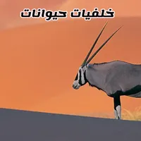 خلفيات حيوانات icon