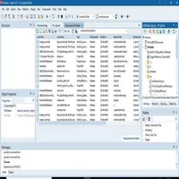 Delphi 64Bits icon