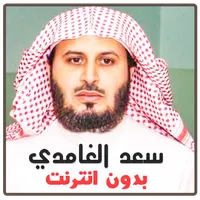 Saad Al Ghamidi Quran Offline icon