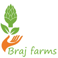 Braj Farms icon
