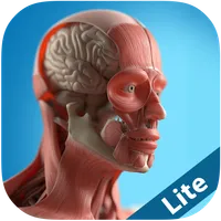 Anatomy Game Anatomicus Lite icon