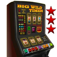 Big Wild Timer Slot Machine -  icon