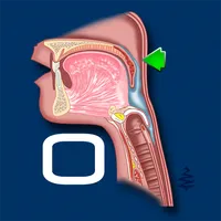 Swallowing Oral icon
