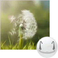 Dandelion (PLB exercise) icon