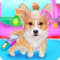 Cute Corgis Caring and Dressup icon