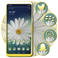 White Gerbera Daisy Theme icon