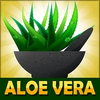 Aloe Vera Benefits! icon