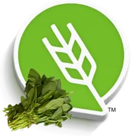 आंबट चुका लागवड  #Agrownet™ icon