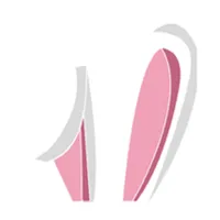 얼굴형 테스트 - 동물상 AI icon