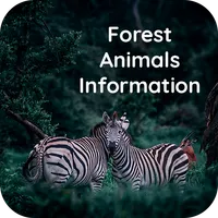 Forest animals information icon