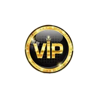 VIP NET TOP icon