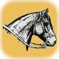 HSCC - HS Cavalo Crioulo icon