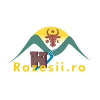 Razesii.ro icon