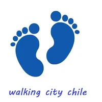 Walking City Chile icon