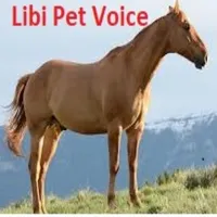 LIBI PET VOICE icon
