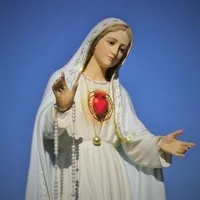 Cuore Immacolato di Maria icon