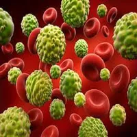 Cell proliferation model - HCP icon