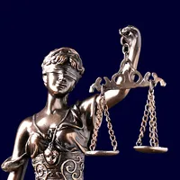 Law Offices of Attorney Evelyn icon