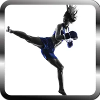 Learn Kingboxing and martial a icon