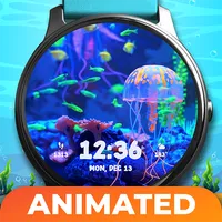 Aquarium Fish Live Watch Faces icon