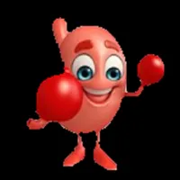 AR BOXING icon