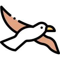 Flying Loli icon