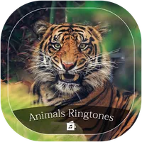 Animals Ringtone icon