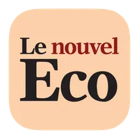 Le nouvel Economiste.fr icon