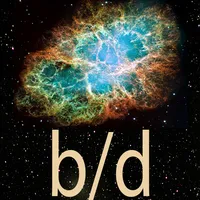 b/d Reversal icon