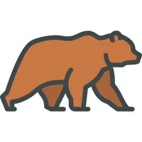 Bear Memory icon
