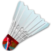 Badminton photo frame icon