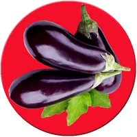 Baigan Ki Kheti icon