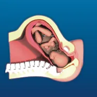 Intrapartum icon