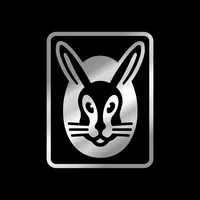 vSCAN Vaillant icon