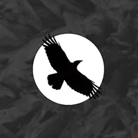 Raven's Rise (Last Tower 1): A icon