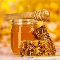 Benefits Of Honey icon