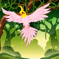 Cockatoo Escape icon