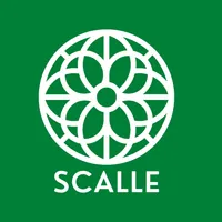 Scalle icon
