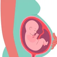 Minha gravidez e meu bebê icon