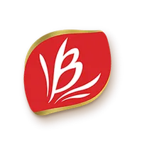 Bauducco Promotores icon