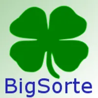 BigSorte icon