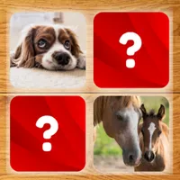 Memory Game - Domestic and Wil icon