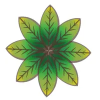 Ayahu Cerimônias com Ayahuasca icon
