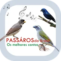 Cantos de Pássaros do Brasil icon