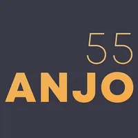 Anjo 55 icon