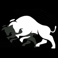 FK BOI INVEST icon