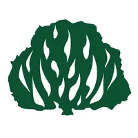 Presbiteriana de Mesquita icon